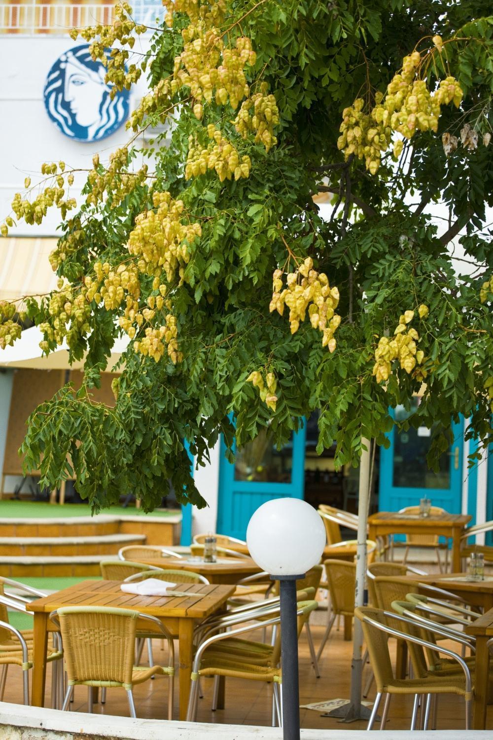 Kaliopa Hotel Albena Buitenkant foto